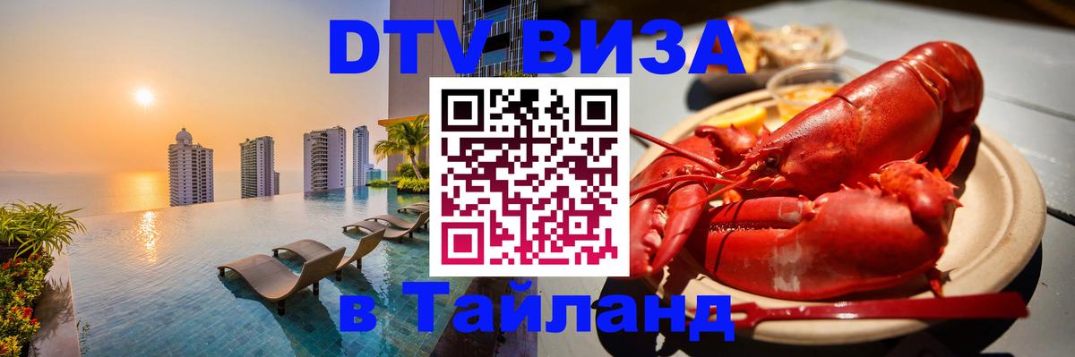 Сколько стоит DTV виза — актуальные цены, оформление даже без документов - Энгельс 